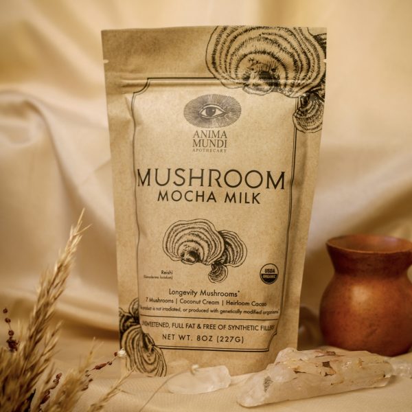 Mushroom mocha milk